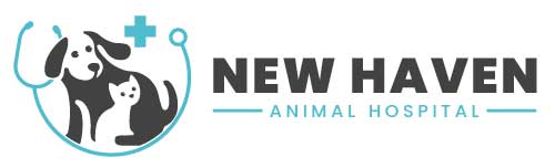 New Haven Animal Hospital