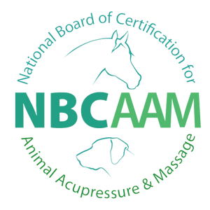 NBCAAM